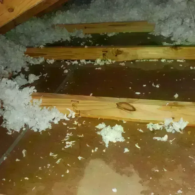 Attic Water Damage in Havelock, NC